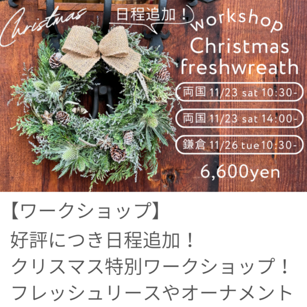 クリスマス特別ワークショップ開催決定！！※好評につき日程追加